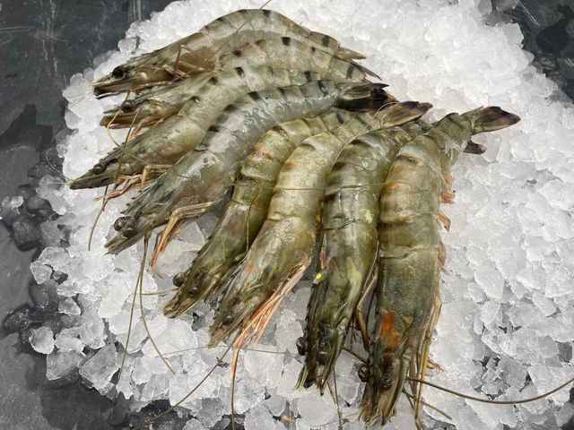 Premium Frozen Black Tiger Shrimp, Giant Freshwater Prawn & Seafood – HACCP, GMP, ISO Certified - Image 6